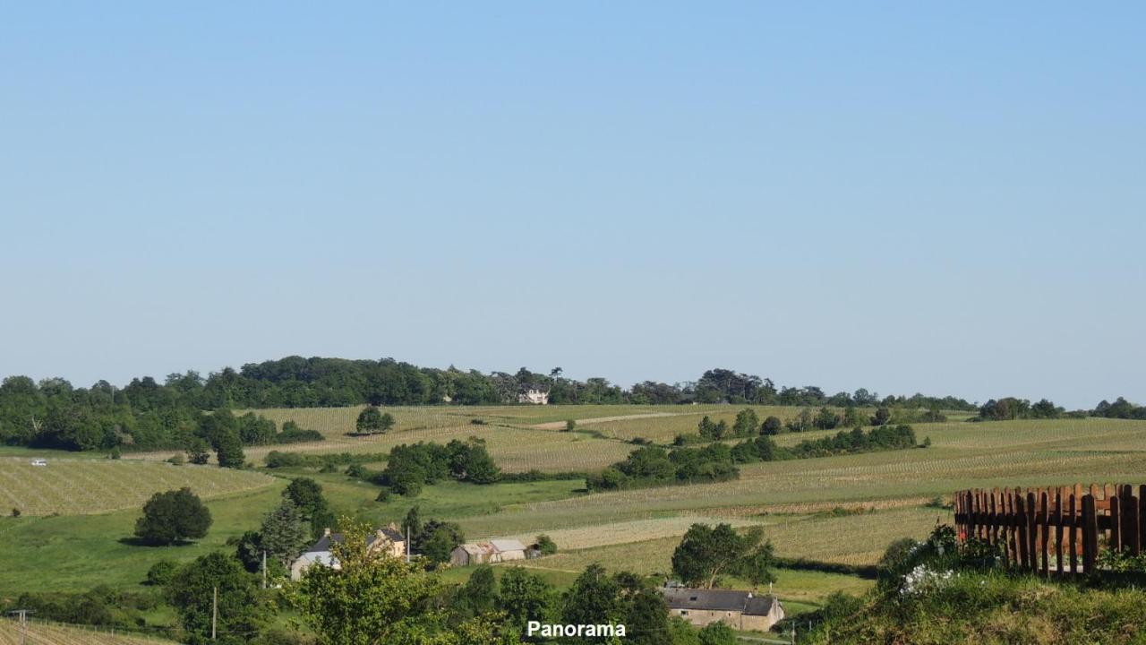 Gîte Hyrom 5 Places Moulin de la Placette Faye-d'Anjou Exterior foto